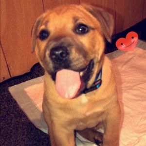 Meet your Posher, Brooke